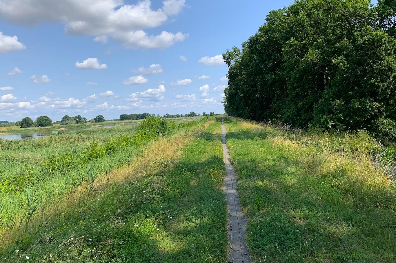 Oder-Radweg südlich Gorzyca (Polen) zwischen Küstrin und Slubice