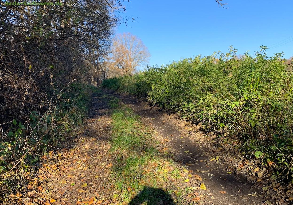 Kein Radweg: Schlechter Feldweg südlich Siedlec bei Zelz