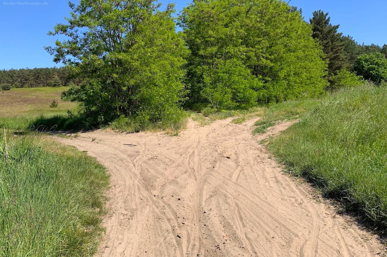Rad-Wanderweg bei Ognica (Polen) = Nipperwiese
