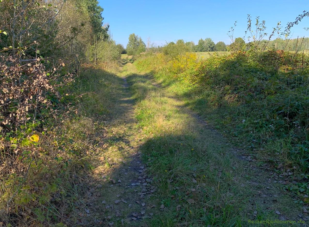 Rad-Wanderweg polnische Seite von Klein Bademeusel