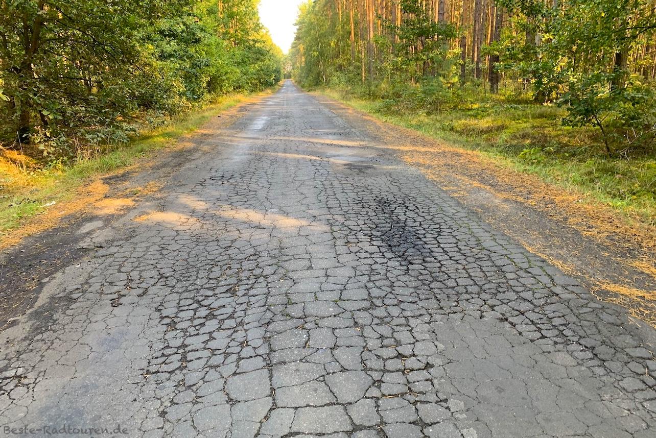 Straße bei Chojna (östlich von Chlebowo), Polen