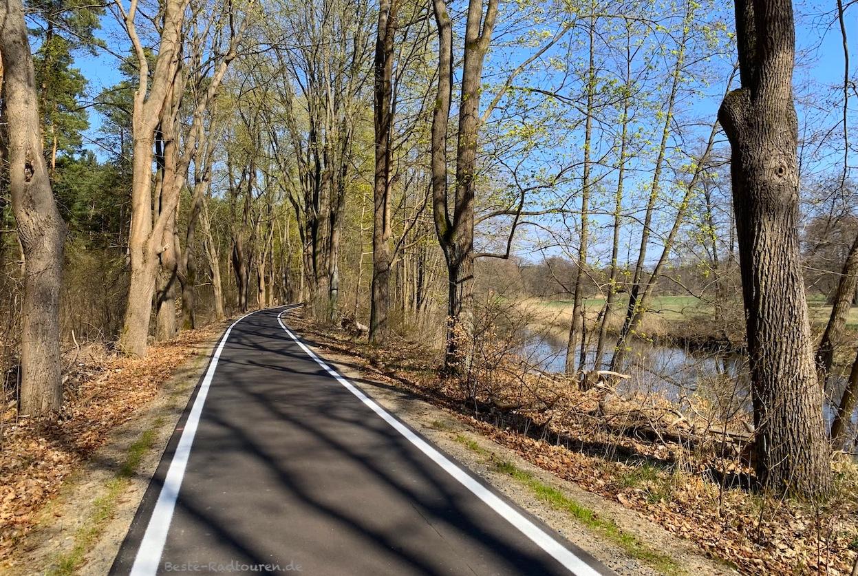 Foto vom Spreeradweg aus: Radweg von Kehrsdorfer Schleuse bis Neubrück