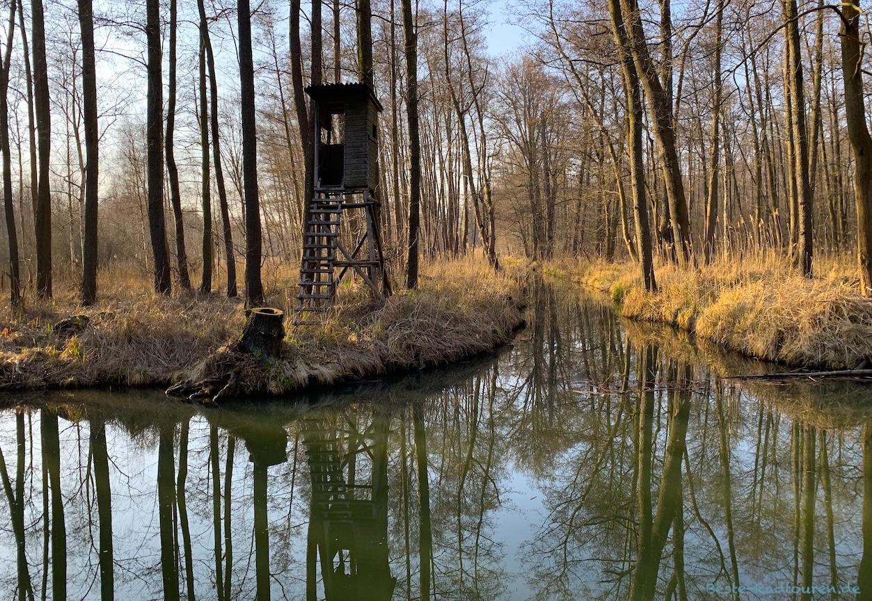 Foto vom Wanderweg aus: Bürgergraben und Doriskanal zwischen Wotschofska und Lübbenau