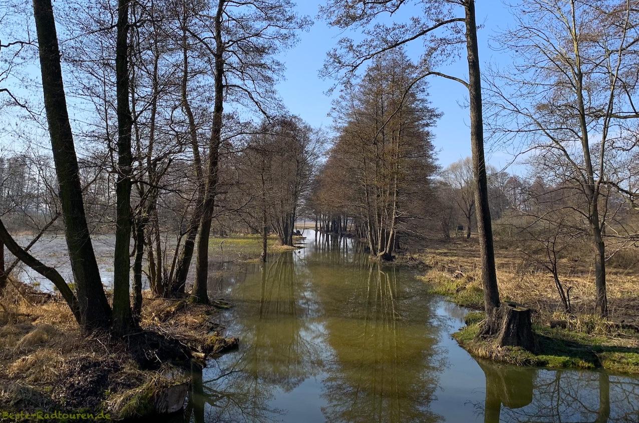 Foto vom Spreeradweg und Gurkenradweg aus: Leiper Weggraben, Kreuzung Uska (zwischen Lübbenau und Leipe)
