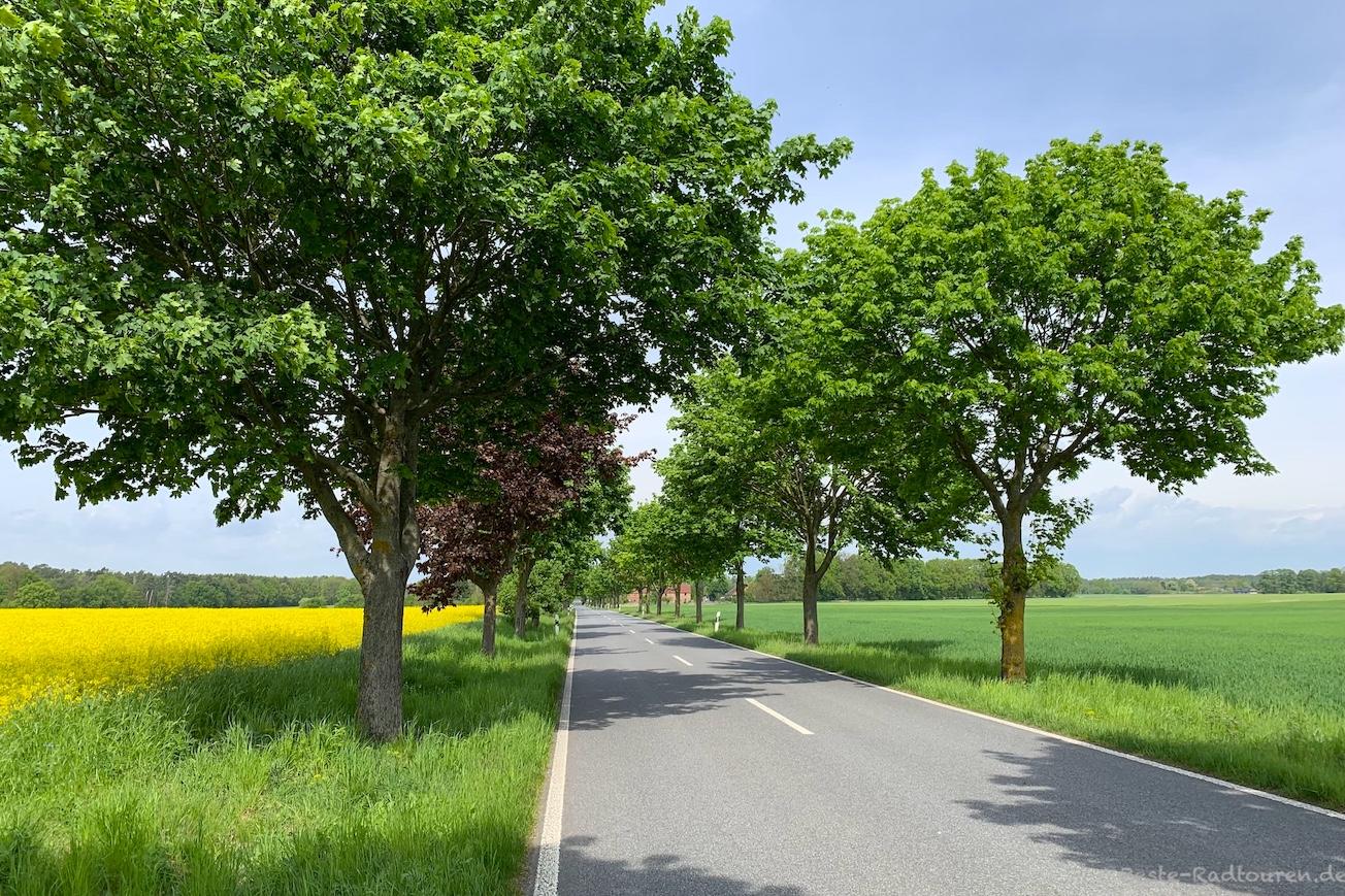 Foto vom Löwenberger-Land-Radweg aus: Radwanderweg von Seebeck bis Lindow