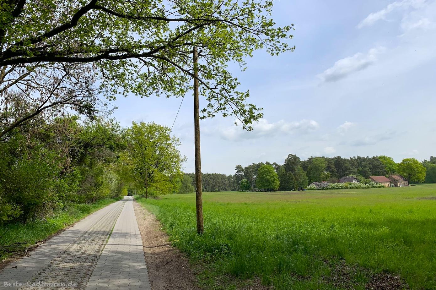 Foto vom Löwenberger-Land-Radweg aus: Radwanderweg von Seebeck nach Lindow