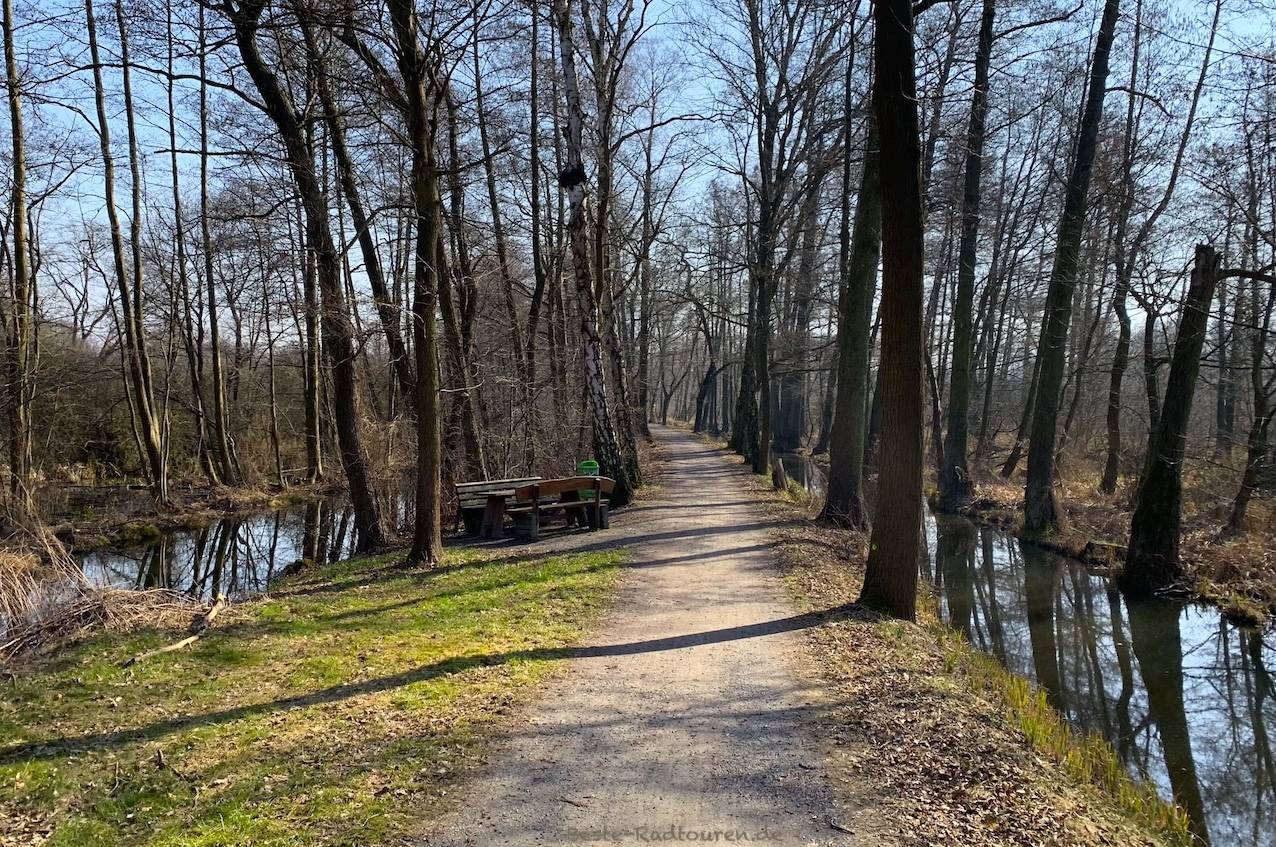 Foto vom Spreeradweg und Gurkenradweg aus: Deichweg Am Neuen Fließ zwischen Lübbenau und Leipe