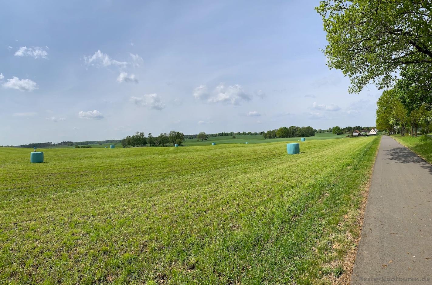 Foto vom Löwenberger-Land-Radweg aus: Radwanderweg von Löwenberg nach Hoppenrade (Richtung Lindow)