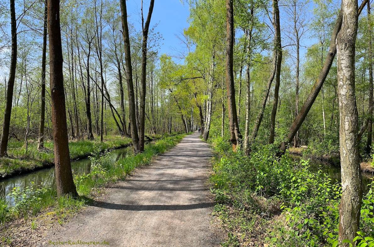 Foto vom Spreeradweg und Gurken-Radweg aus: Deichweg zwischen Lübbenau und Leipe am Leiper Weggraben