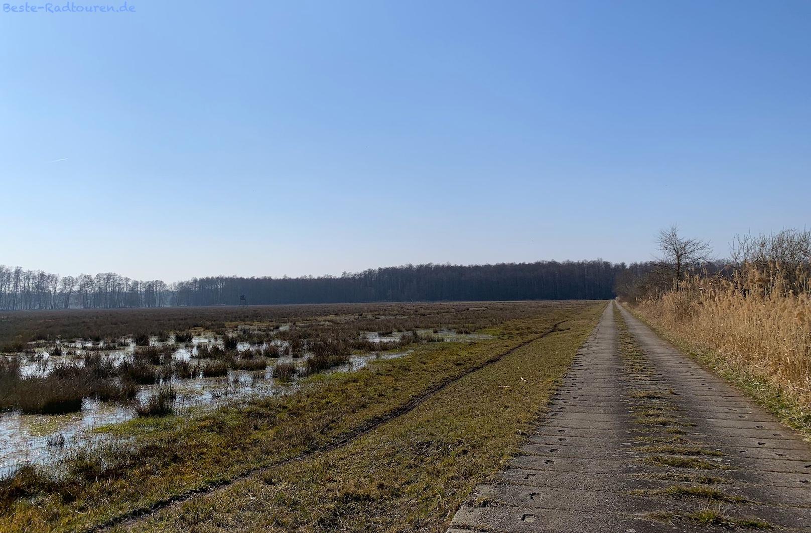 Foto vom Osten her: Wanderweg von Burg-Kauper nach Lübbenau