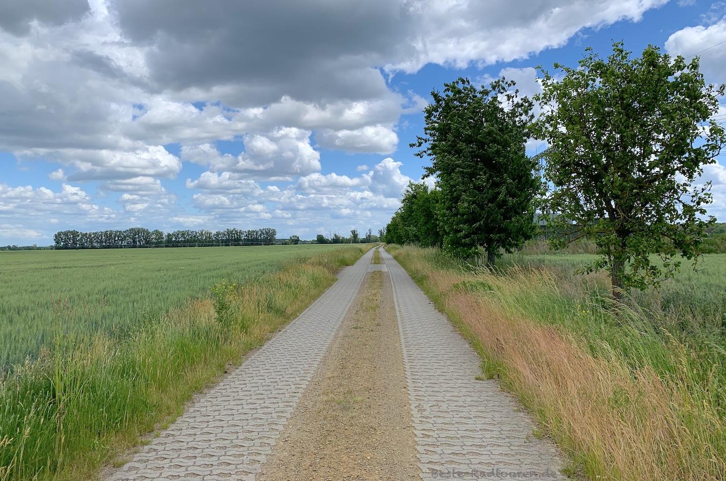 Foto von der Historische-Stadtkerne-Route aus: Radweg von Cahnsdorf (Luckau) nach Egsdorf