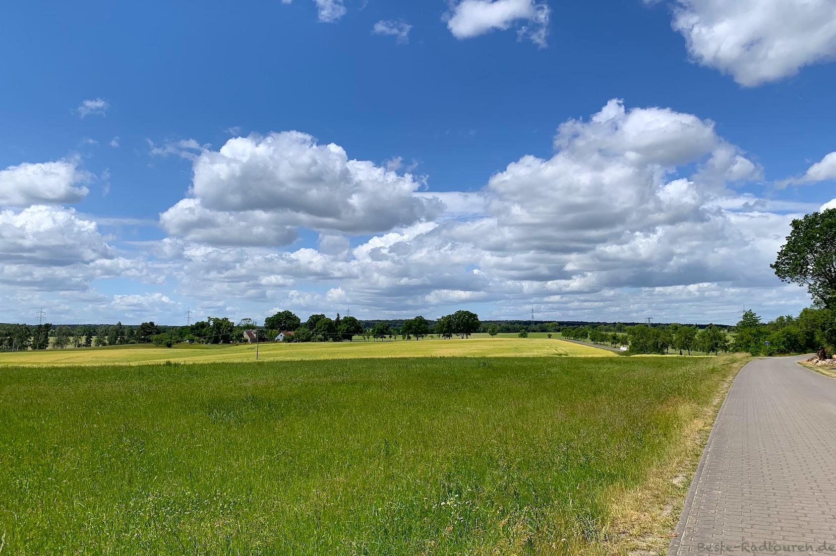 Foto vom Radweg Kranichtour aus: Heideweg nahe Höllberghof