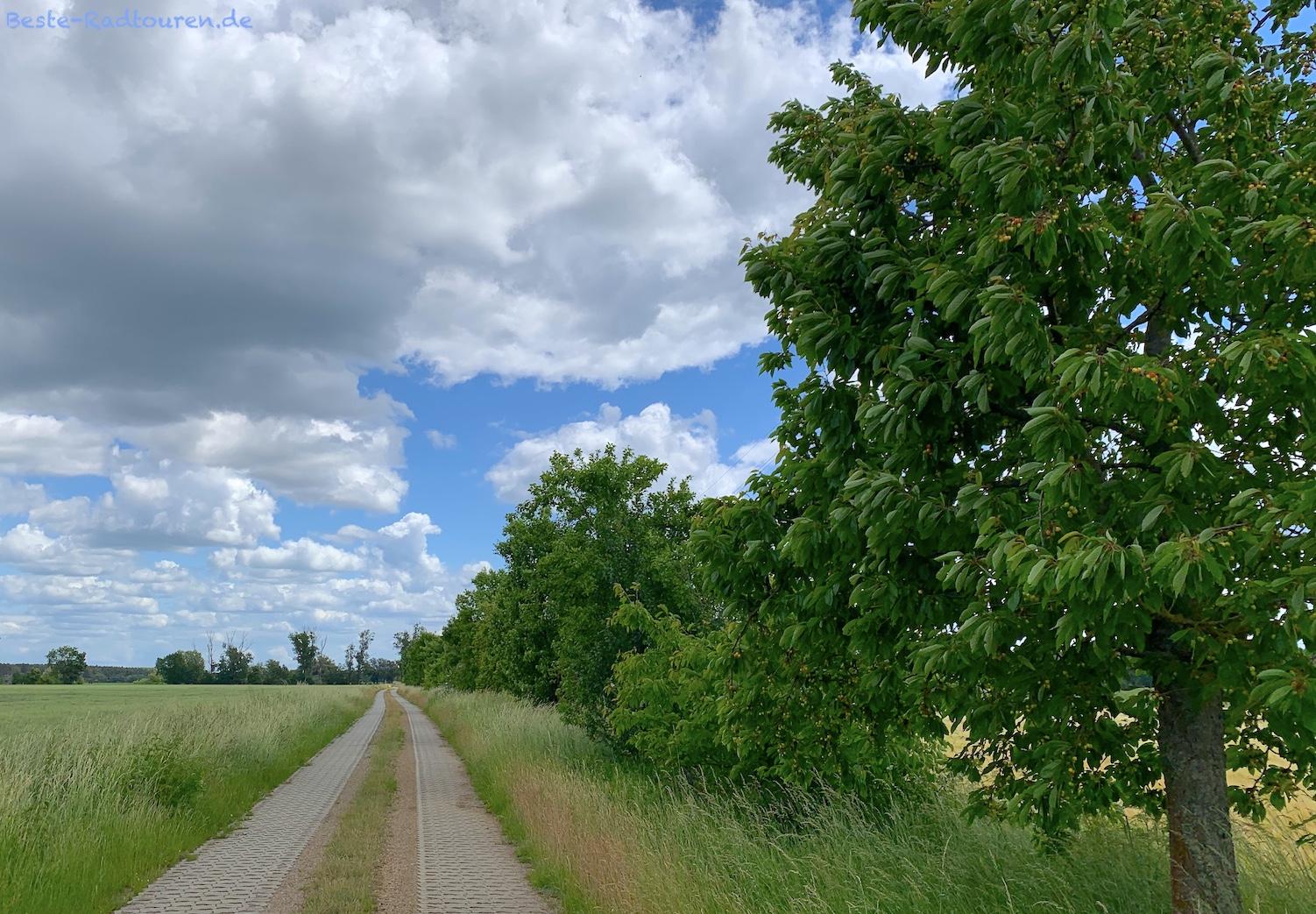 Bild von der Historische-Stadtkerne-Route aus: Radweg von Cahnsdorf (Luckau) nach Egsdorf