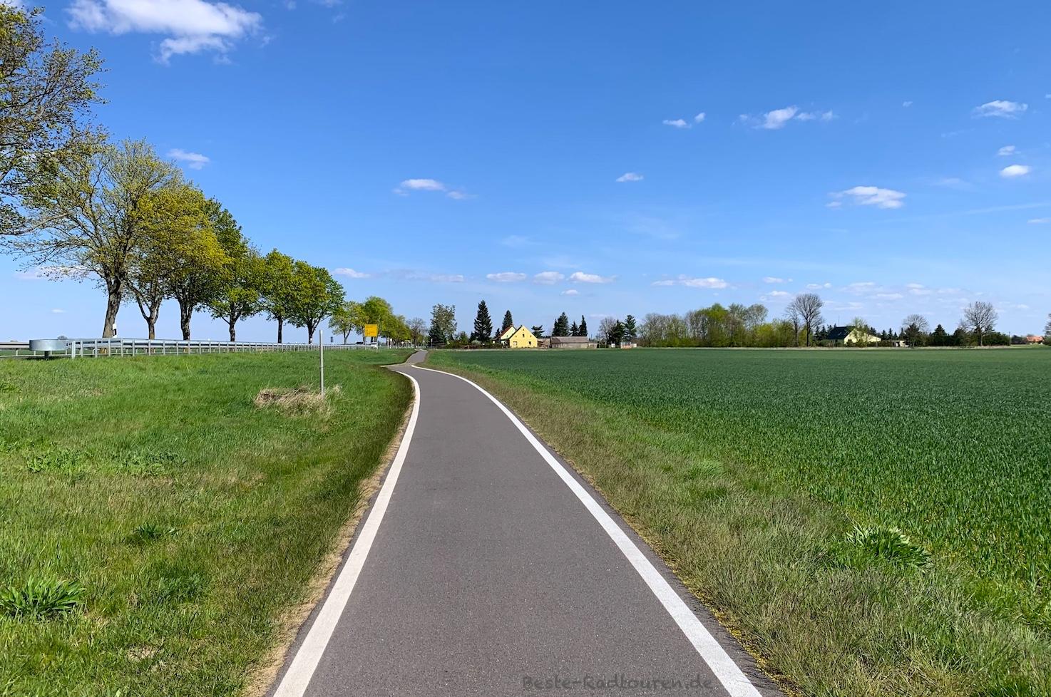 Foto von Alt Tucheband her: Radweg an der B1 von Seelow nach Manschnow