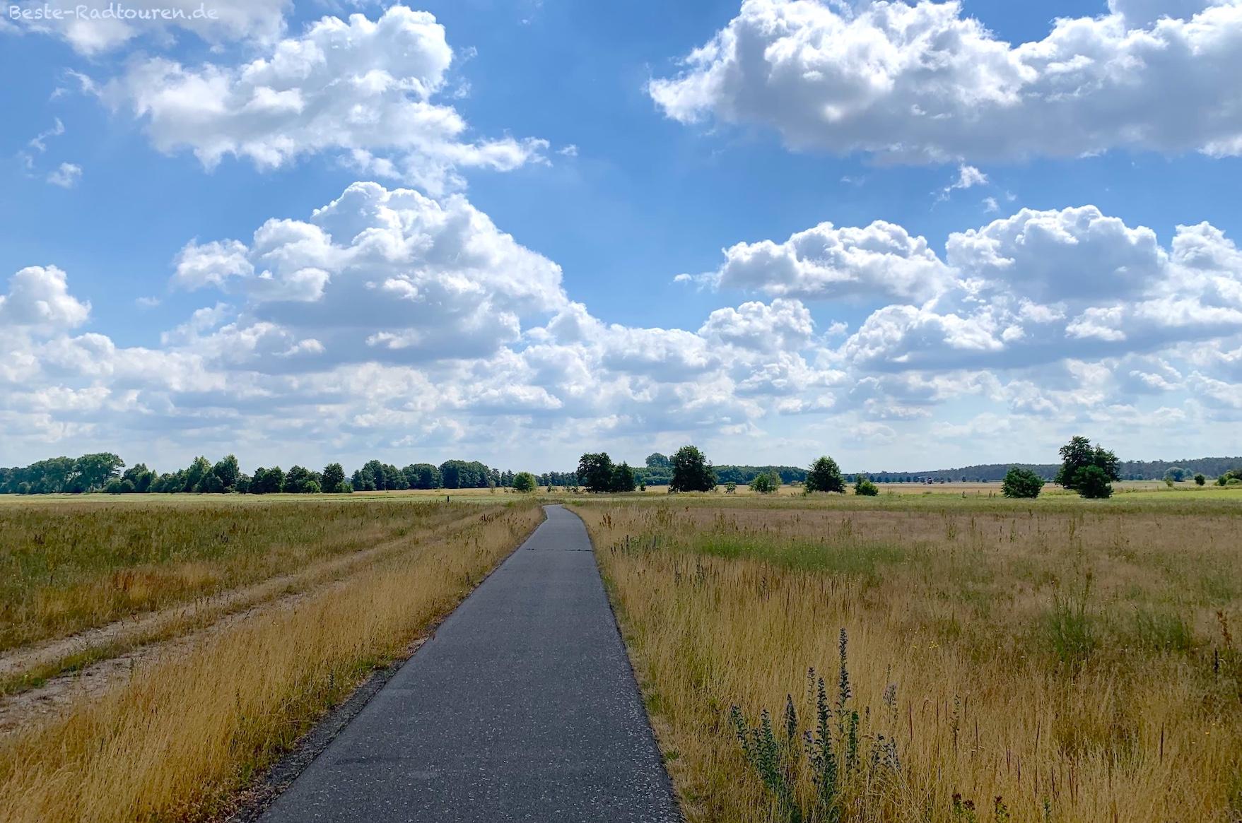 Foto vom Elster-Radweg und von der Tour Brandenburg aus: Fahrradstraße von Brandis bis Schönewalde
