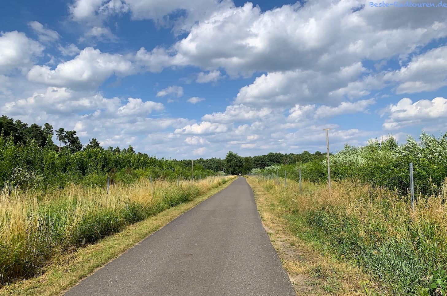 Foto vom Radweg Niederlausitzer Kreisel und der Kranichtour aus: Fahrradstraße zwischen Hindenberg und Klein Radden