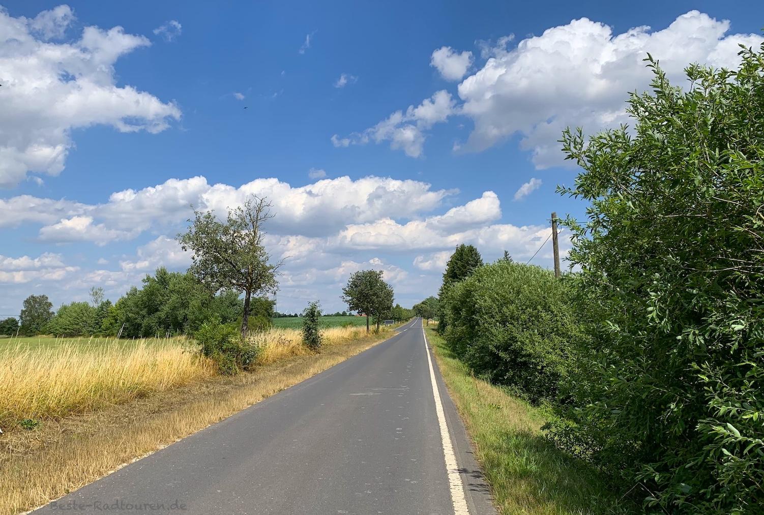 Foto vom Radweg aus: Fahrradstraße von Langengrassau bis Luckau