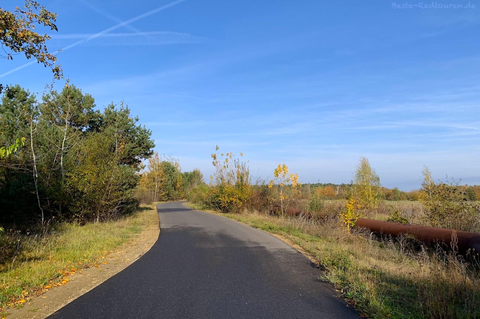 Foto von der Tour Brandenburg, vom Spreeradweg und Fürstpückler-Radweg aus: Radstraße an der Westseite des Cottbuser Ostsees