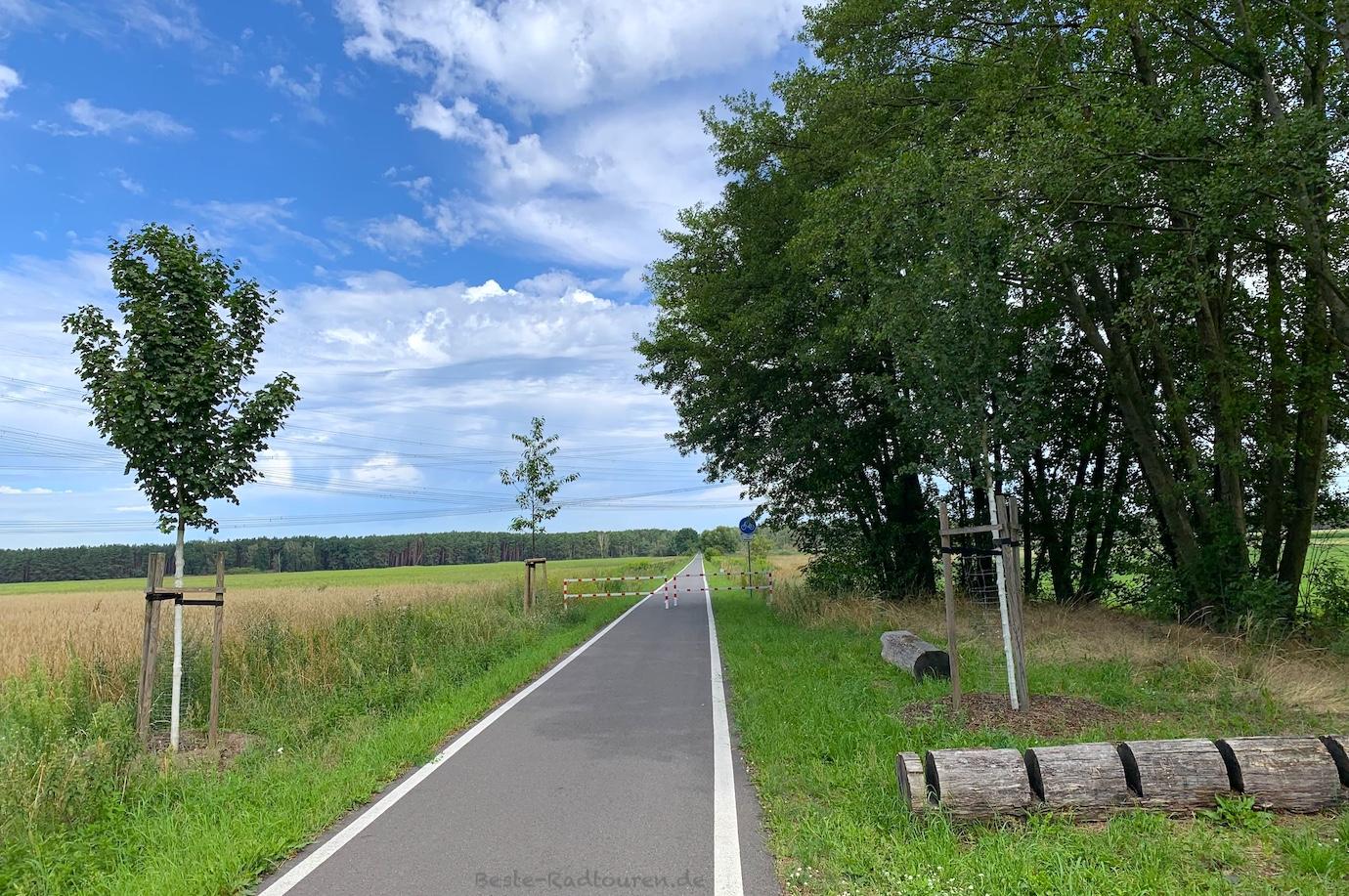 Foto vom Heide-Radweg aus: Anfang vom Heideradweg in Preilack, nördlich von Peitz (Spree-Neiße)