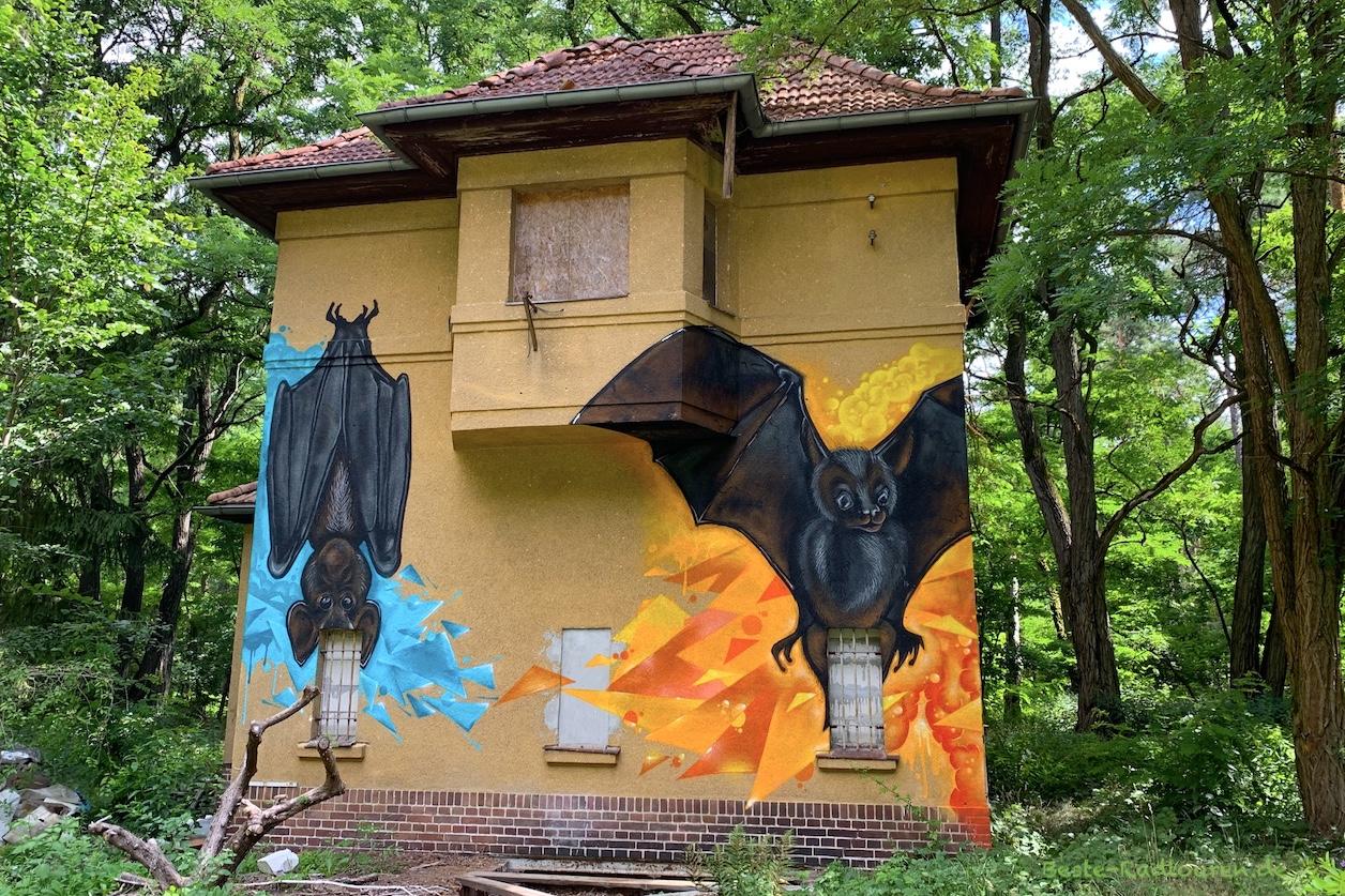 Foto vom Heideradweg aus: Graffiti auf der Höhe von Lieberose nahe dem ehemaligen Bahnhof Jamlitz