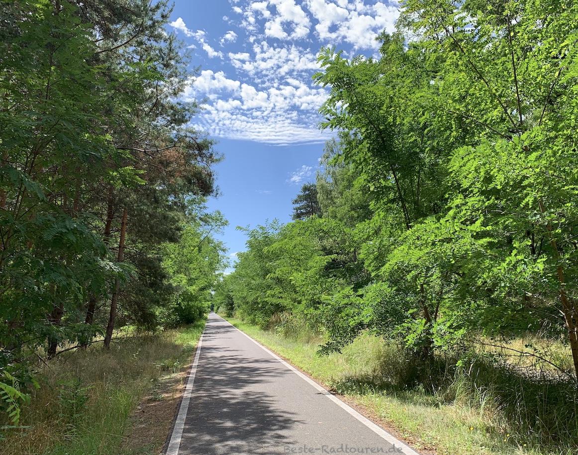 Foto vom Radwanderweg aus: Heide-Radweg bei Lieberose / Jamlitz