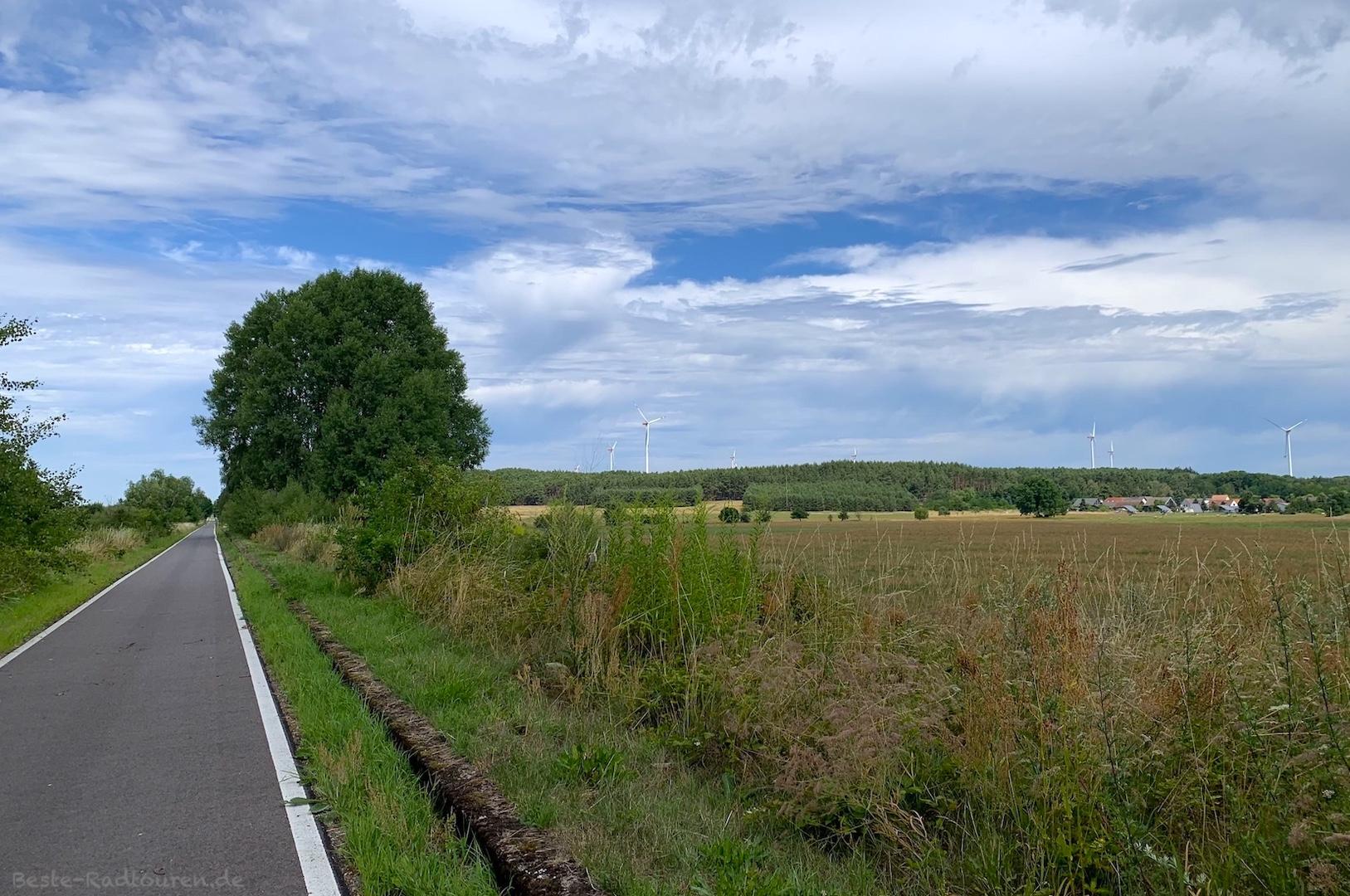 Foto vom Heide-Radweg aus: Fahrradstraße / Radwanderweg bei Ullersdorf