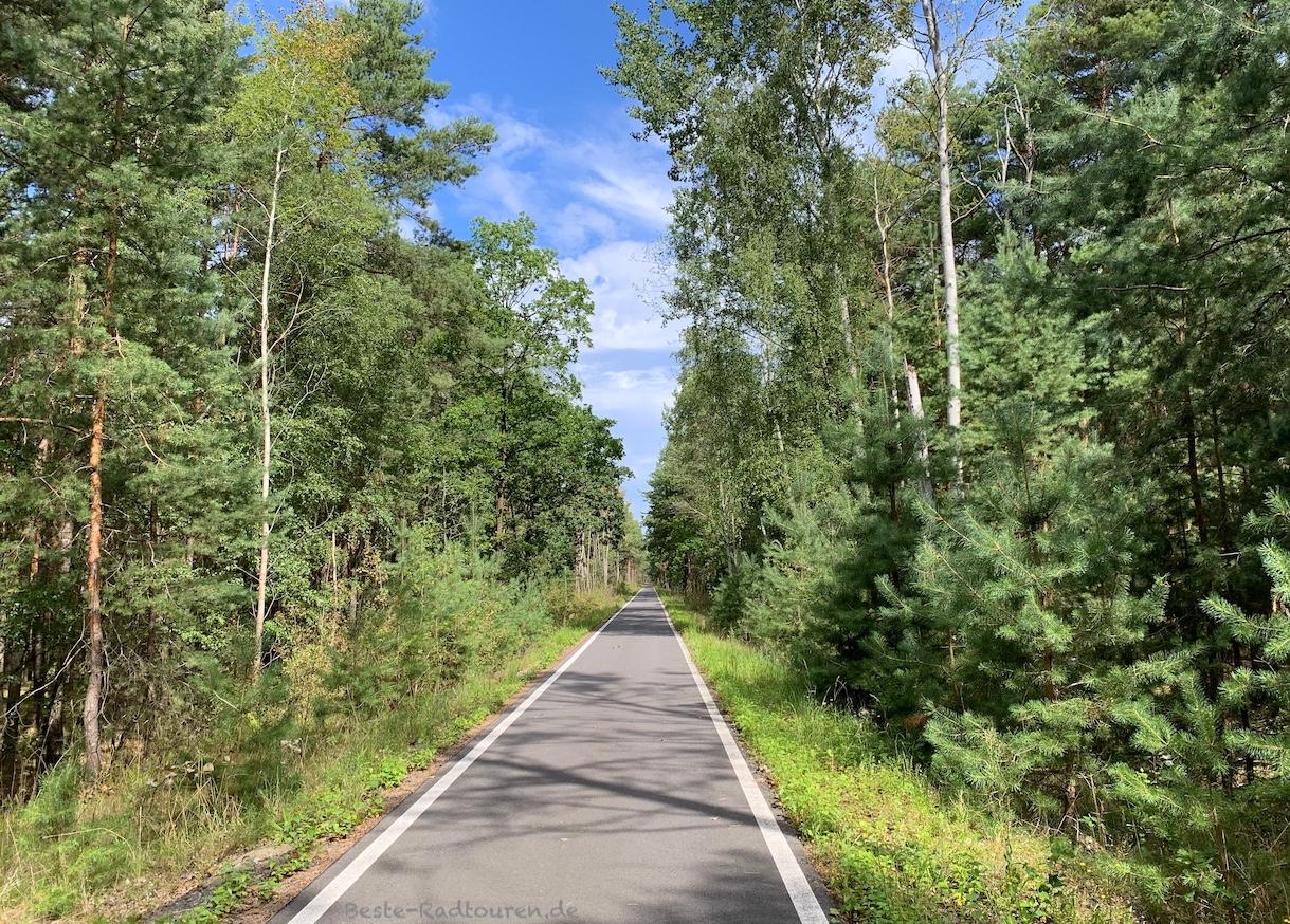 Foto vom Radwanderweg aus: Heide-Radweg nördlich Preilack