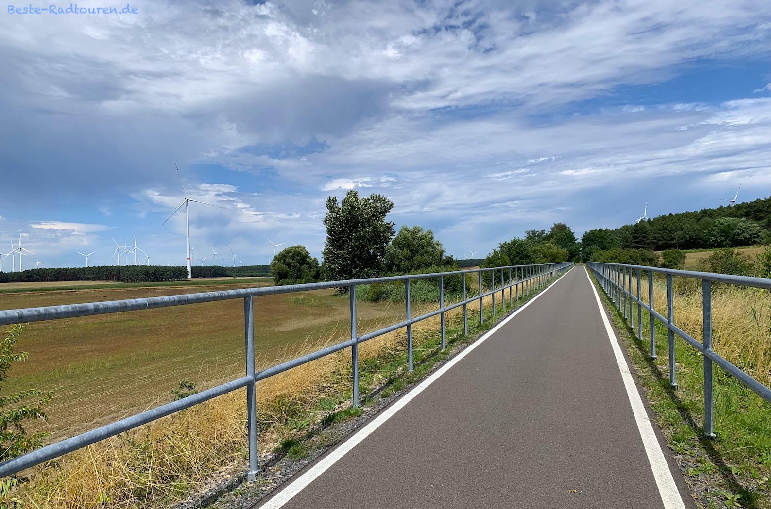 Foto vom Heide-Radweg aus: Fahrradstraße zwischen Ullersdorf und Weichensdorf, Mochlitzer Heide