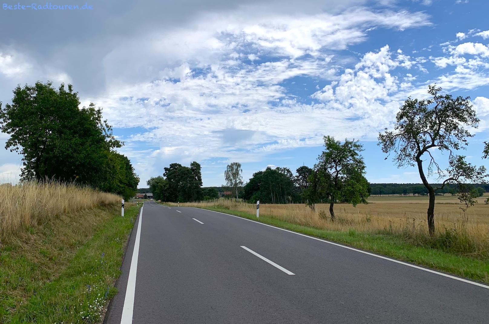 Foto vom Radwanderweg aus: Landschaft bei Groß Briesen (Gemeinde Friedland, Landkreis Oder-Spree)