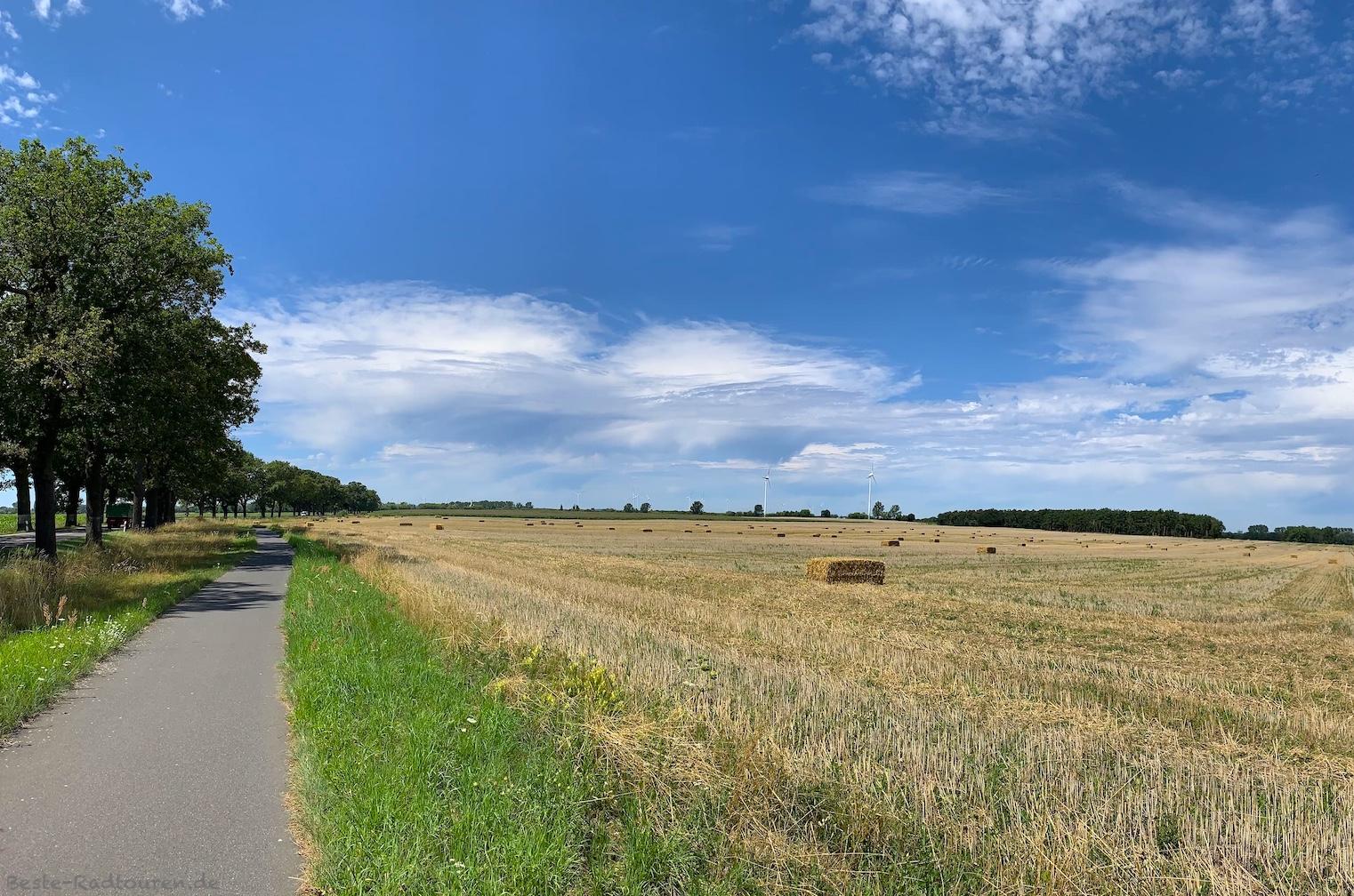 Foto vom Radweg aus: Landschaft bei Krügersdorf (Beeskow, LK Oder-Spree)