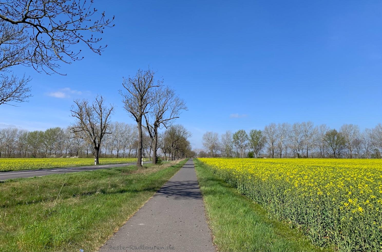 Foto von der Oder-Spree-Tour aus: Radweg von Krügersdorf bis Beeskow