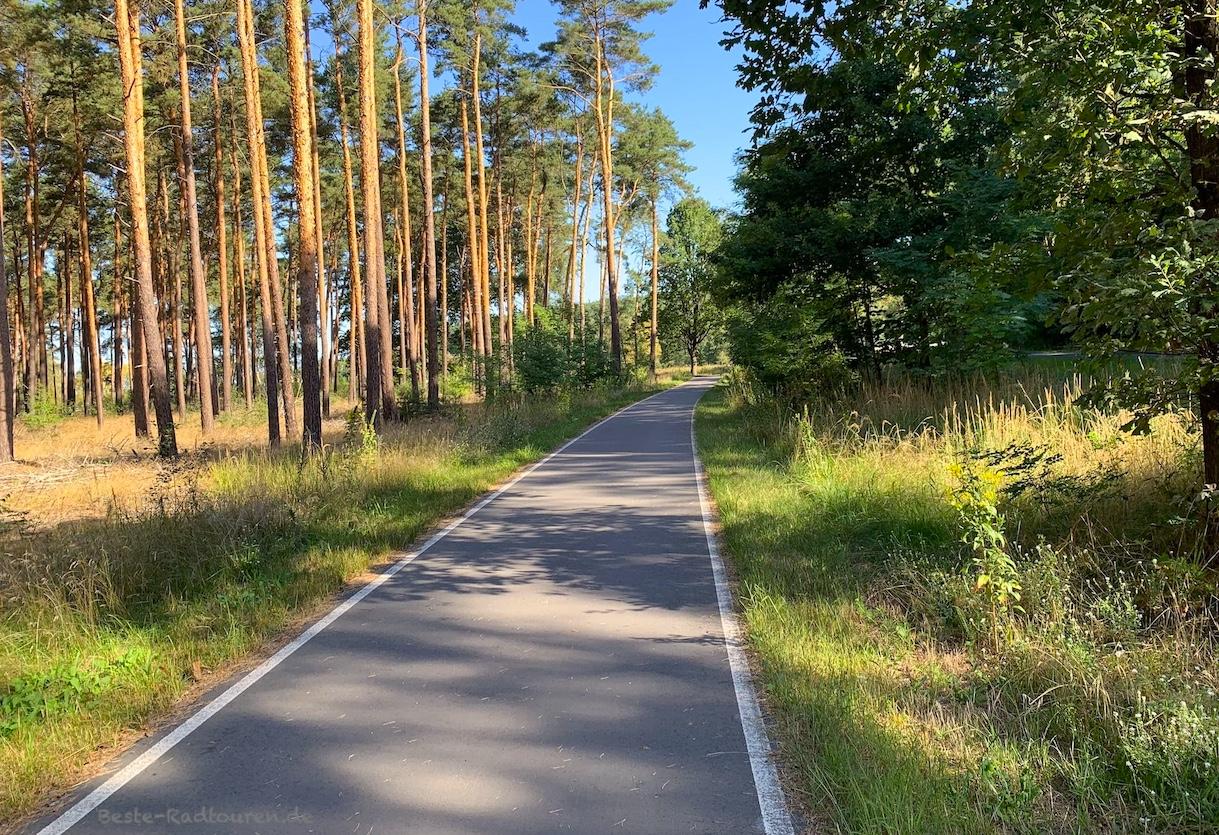 Foto vom Radweg aus: Neue Fahrradstraße zwischen Luckenwalde und Berkenbrück
