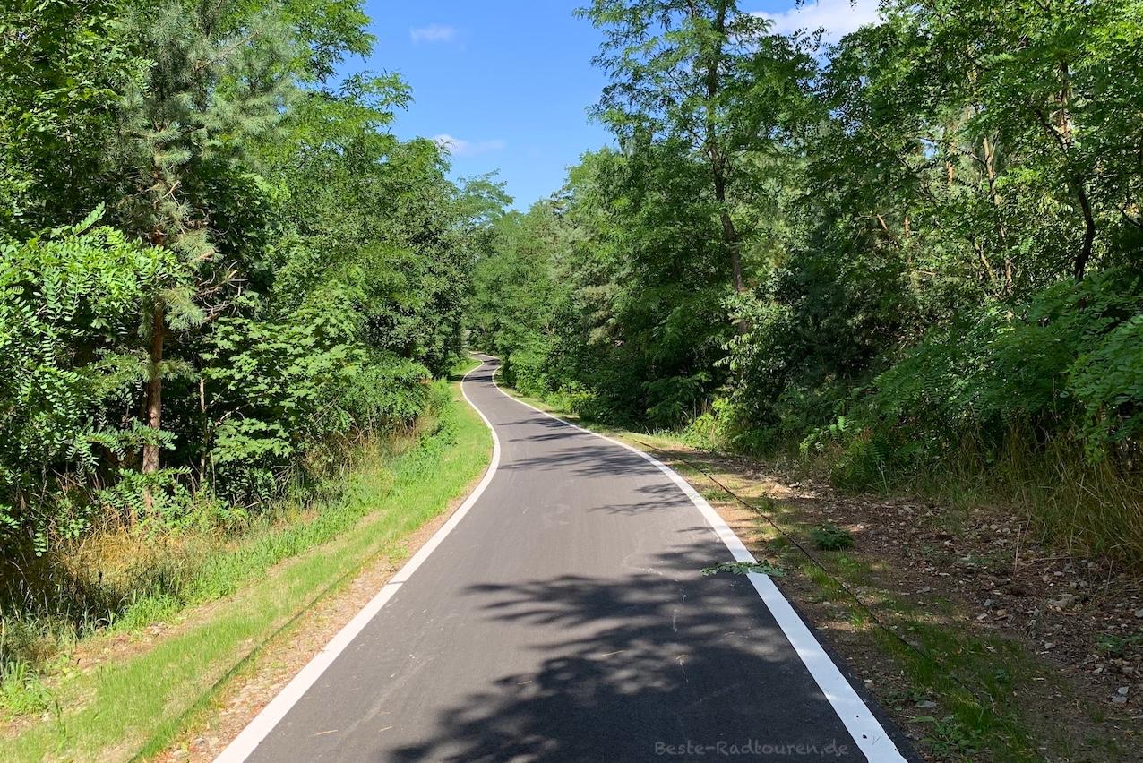 Foto vom Radweg aus: Neue bzw neu überarbeitete Fahrradstraße zwischen Storkow und Wendisch Rietz