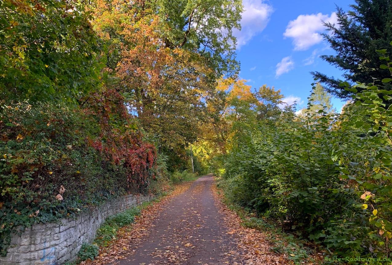 Foto vom Radweg und Wanderweg aus: Dr.-Kleusberg-Promenade Gatow-Spandau