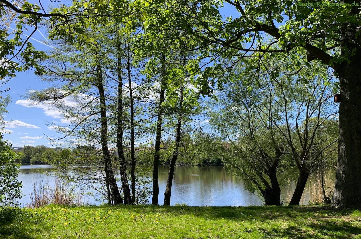 Foto vom Wanderweg / Spazierweg aus: Grimnitzsee-Park in Berlin-Spandau