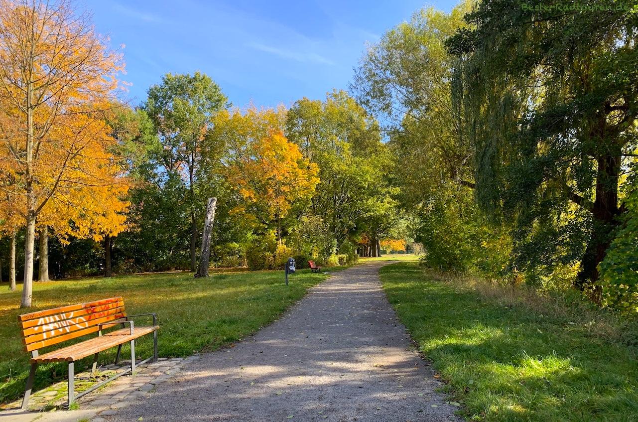 Foto vom Wanderweg / Spazierweg aus: Grimnitzsee-Park in Berlin-Spandau