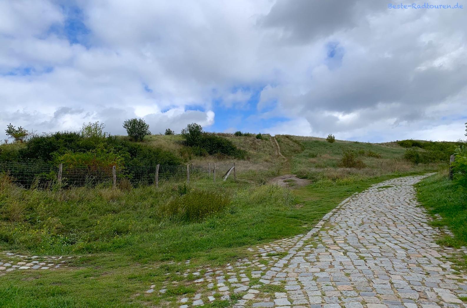 Foto von unten: Wanderweg, Aufstieg auf den neuen Hahneberg in Staaken (Spandau)