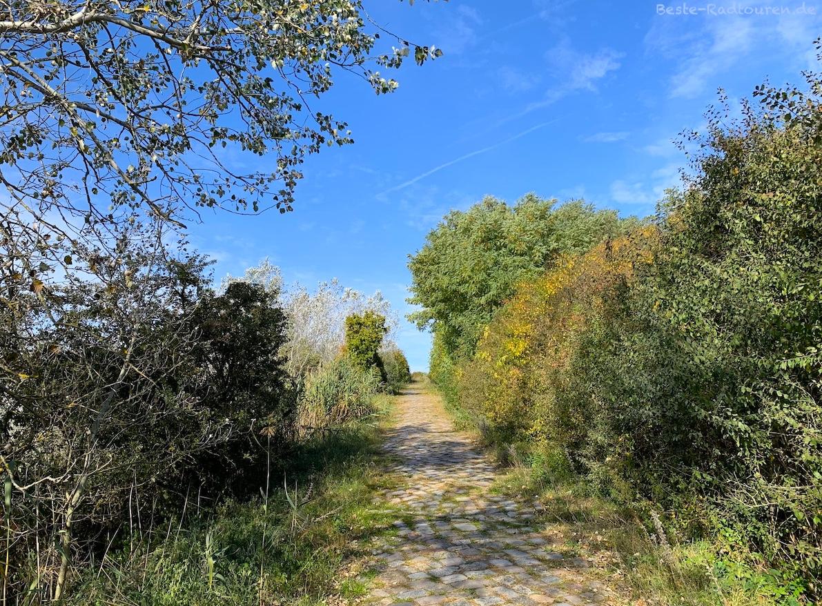 Foto von unten: Neuer Hahneberg (Staaken, Spandau), Wanderweg