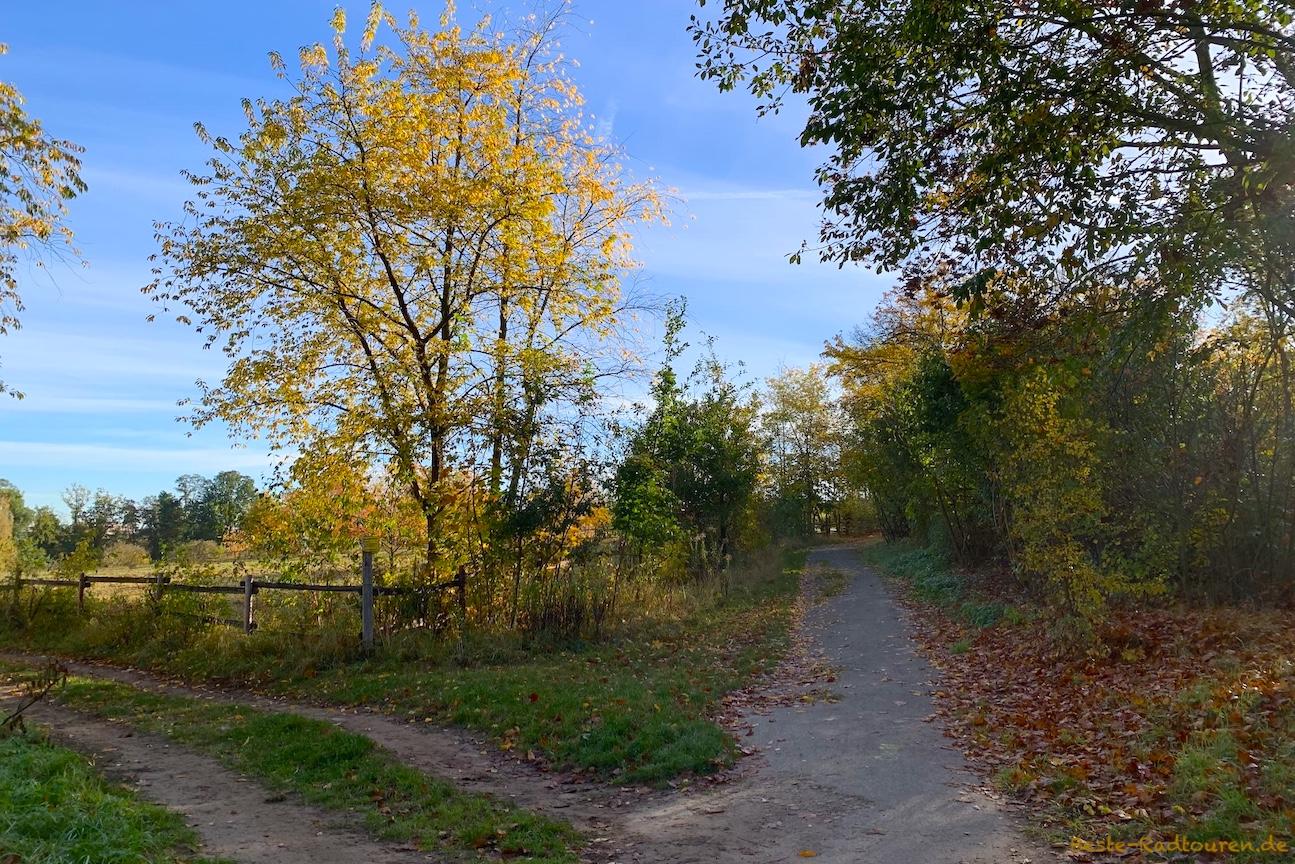 Wanderweg / Fußweg am Fuß vom neuen Hahneberg, Südostseite nahe Weinbergshöhe
