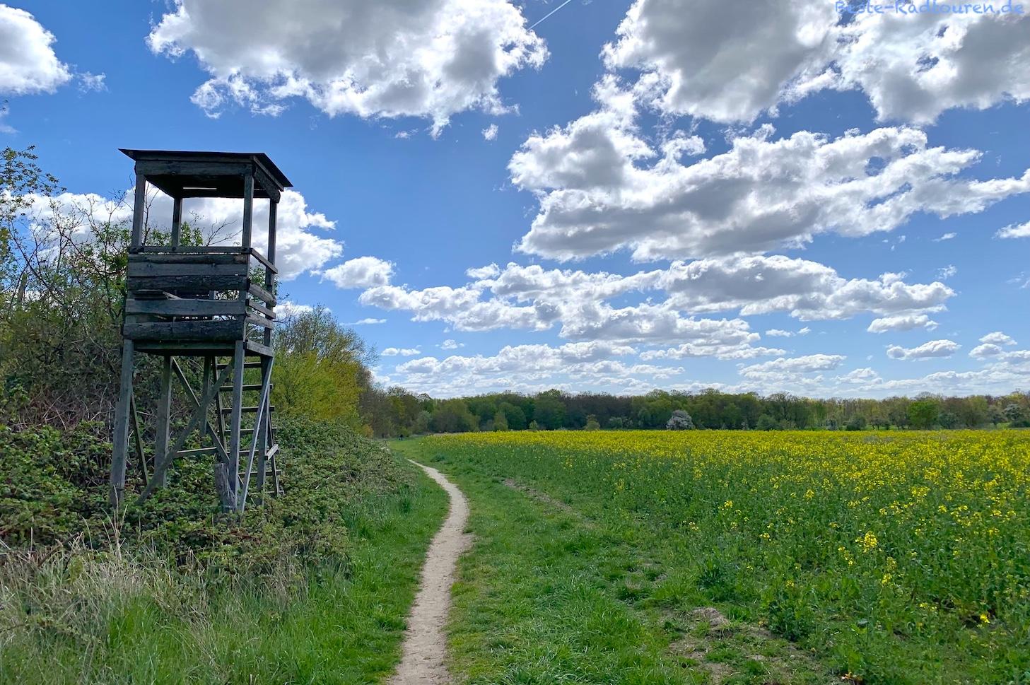 Foto vom Westen her: Wanderweg zwischen Hahneberg und Weinbergshöhe (nahe Weinmeisterhornweg, Spandau)