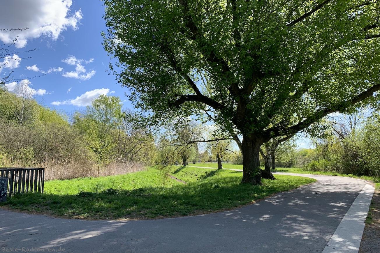 Foto von Staaken her: Radweg und Fußweg am Grünzug Bullengraben, Spandau
