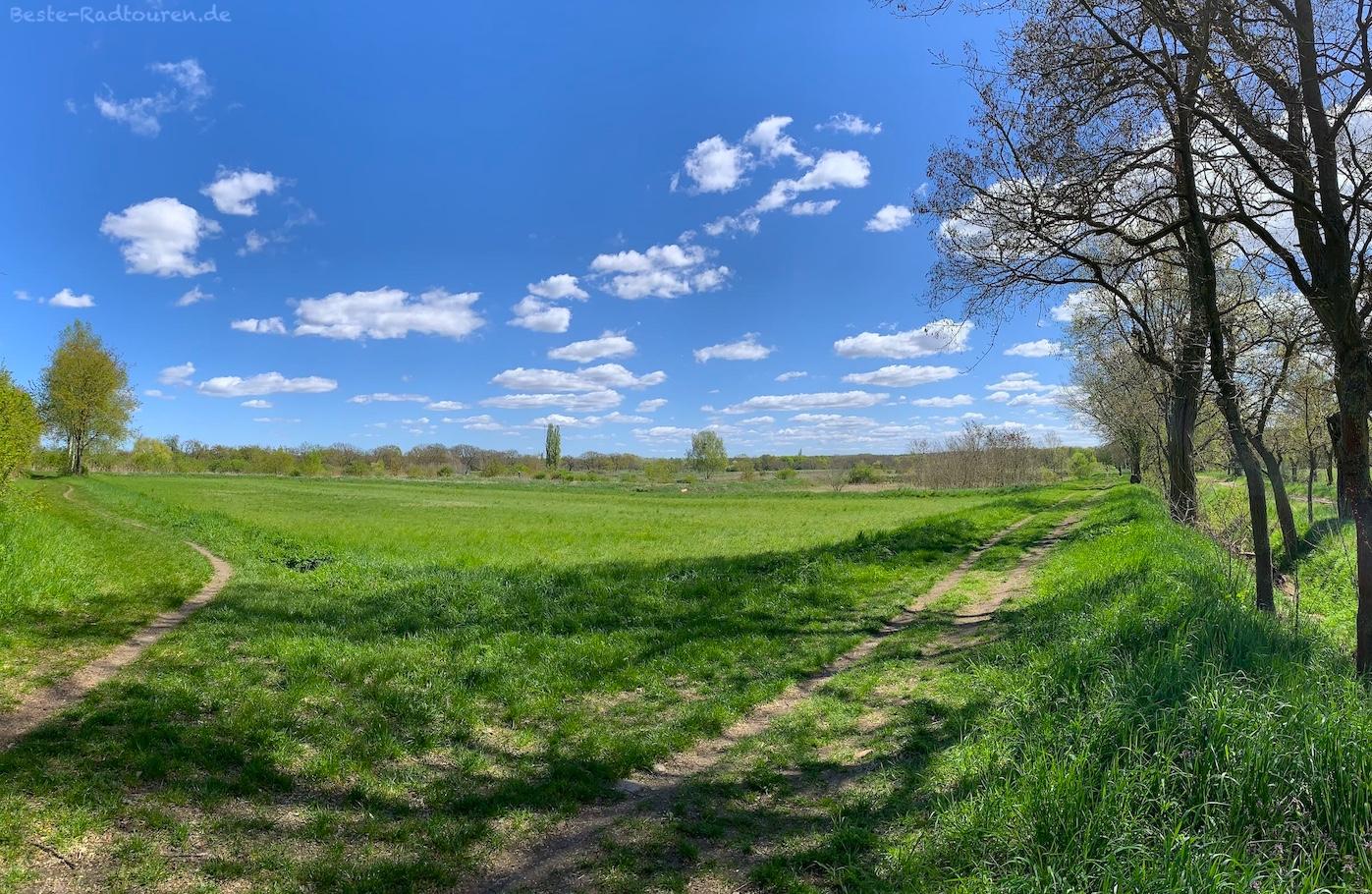 Foto vom Westen her: Rieselfelder Karolinenhöhe (Berlin-Gatow)
