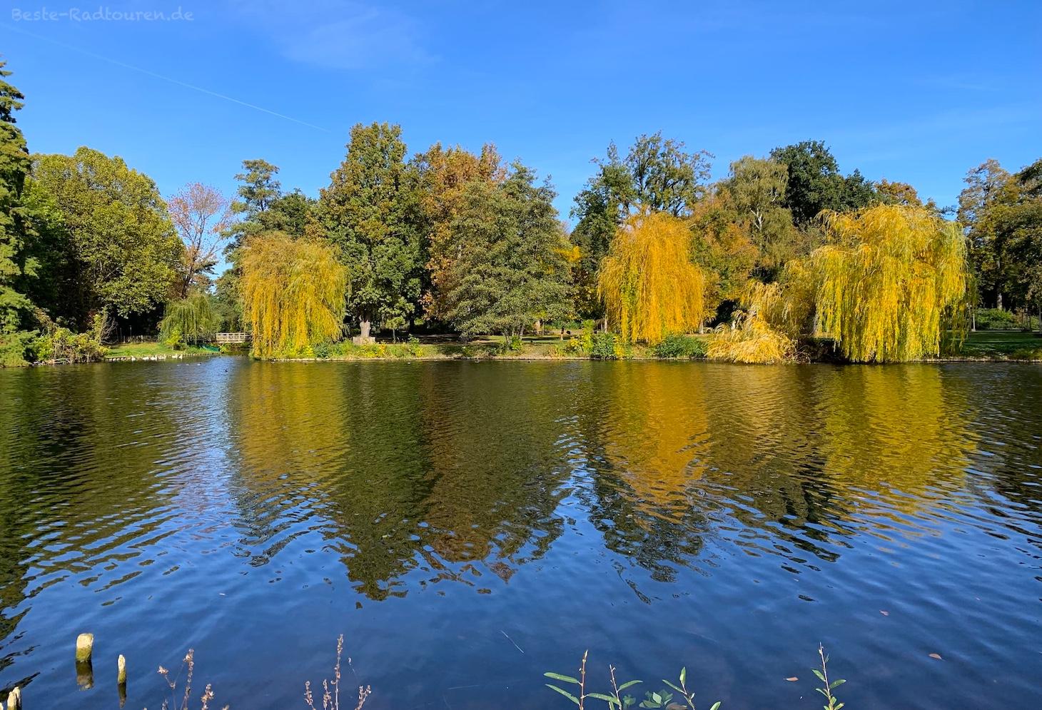 Bild vom Ufer aus: Südparkteich Wilhelmstadt (Berlin-Spandau)