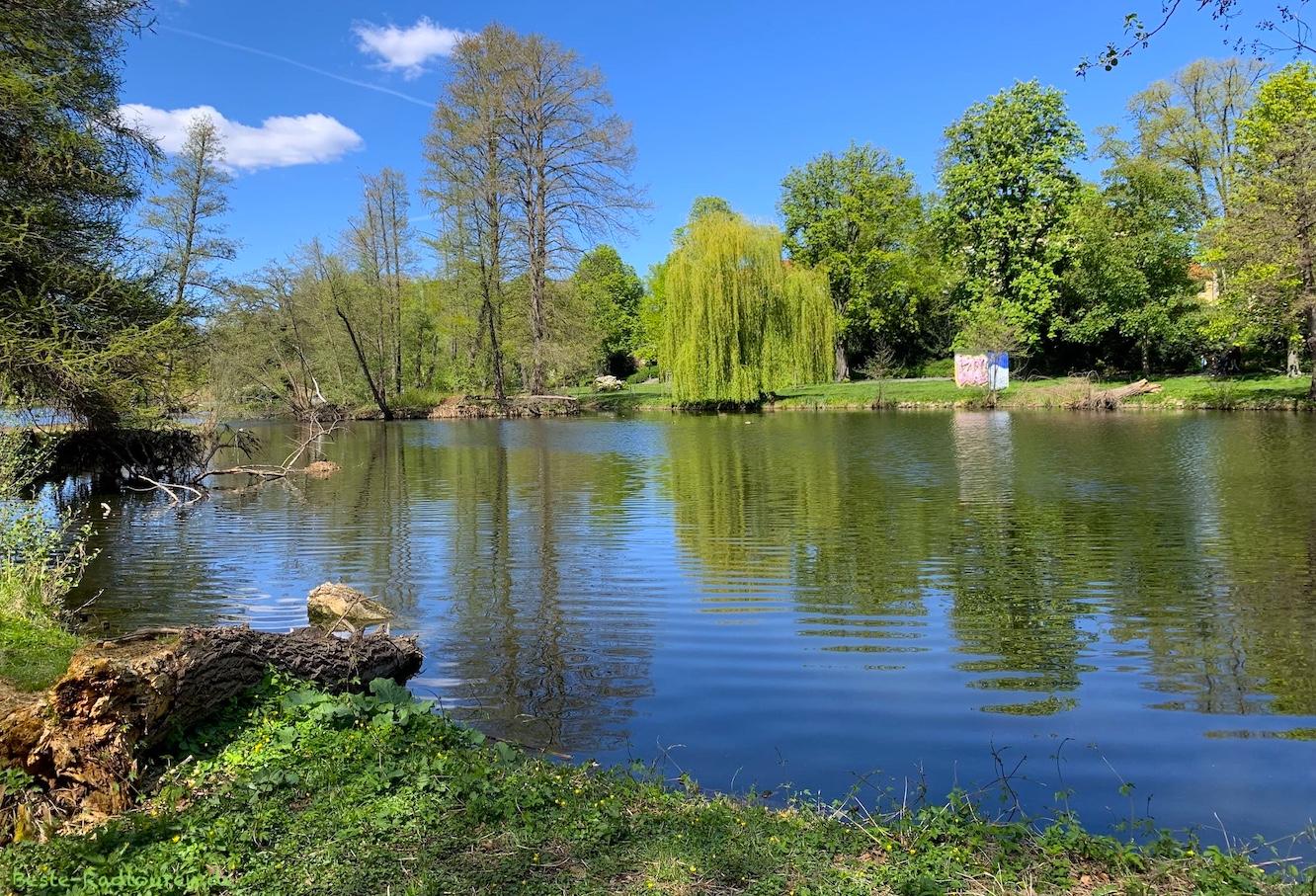 Bild vom Ufer aus: Südparkteich in Wilhelmstadt (Berlin-Spandau)