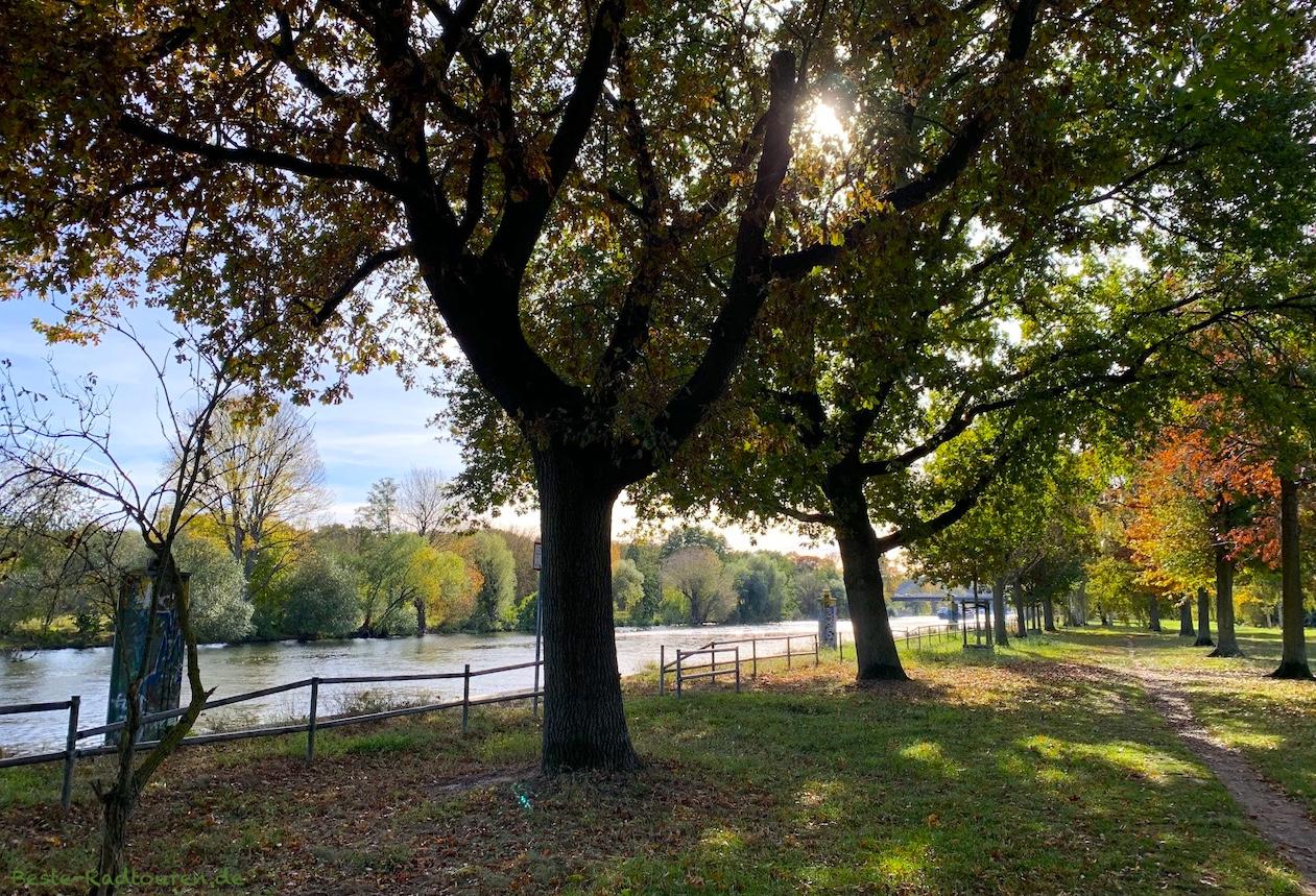 Foto vom Wanderweg / Spazierweg aus: Grimnitzsee-Park und Havel in Berlin-Spandau