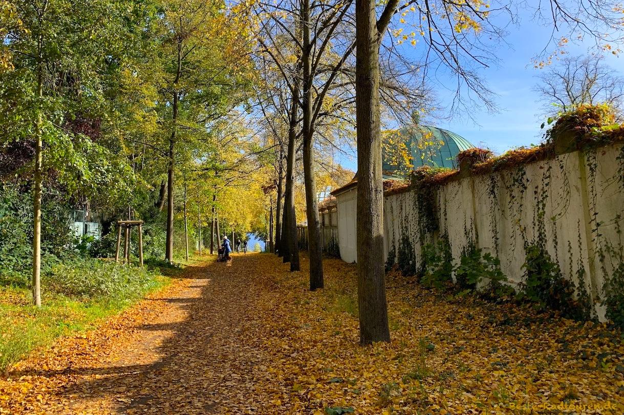 Foto vom Wanderweg und Radweg aus: Villa Lemm und Dr.-Kleusberg-Promenade (Uferweg an der Havel, Gatow)