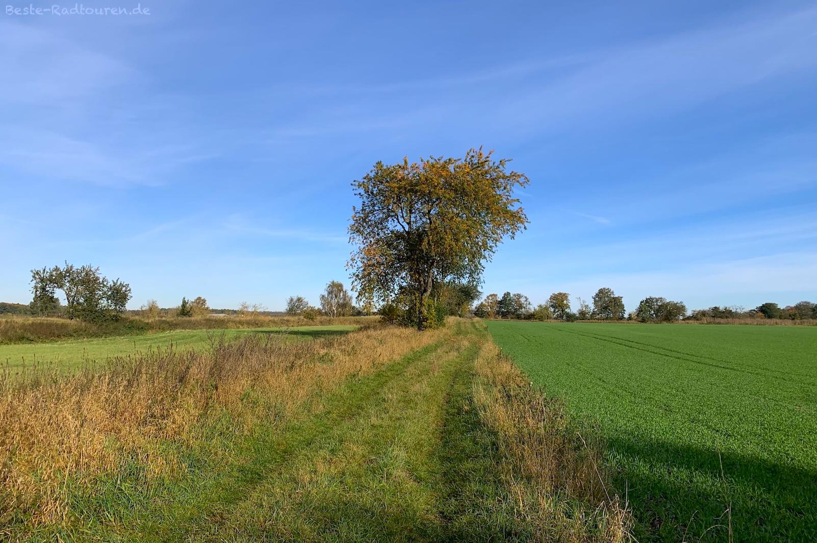 Foto vom Norden her: Wanderweg zwischen Engelsfelde (Dallgow-Döberitz) und Gatow (Berlin)